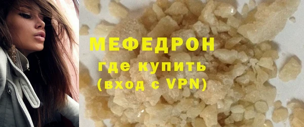 прущие грибы Богданович