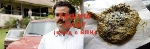 прущие грибы Богданович