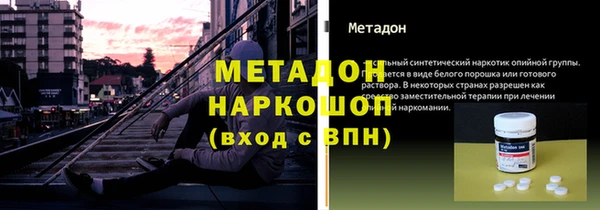 прущие грибы Богданович