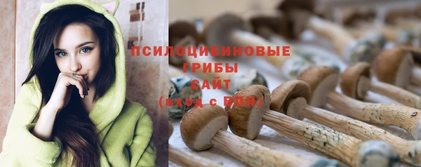 MDMA Богородицк