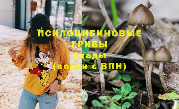 хмурый Мегион