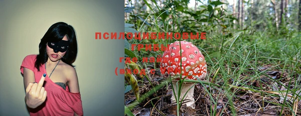 MDMA Богородицк