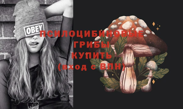 MDMA Богородицк