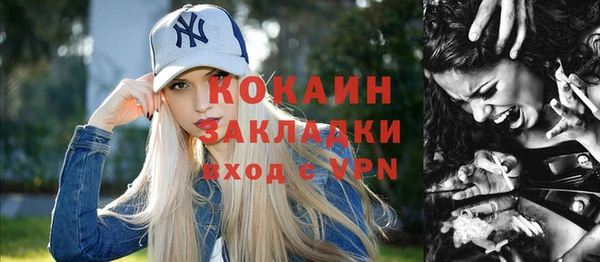 прущие грибы Богданович