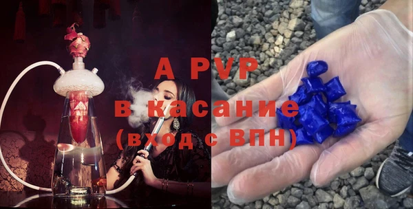 прущие грибы Богданович