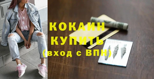 прущие грибы Белокуриха