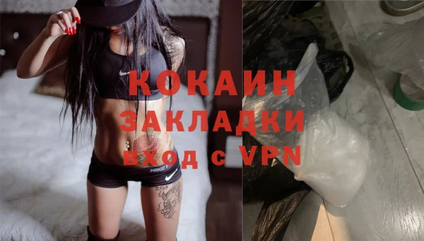 прущие грибы Богданович