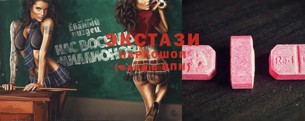 прущие грибы Богданович